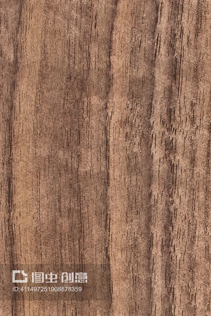 核桃木单板粗糙纹理样品Walnut Wood Veneer Grunge Texture Sample